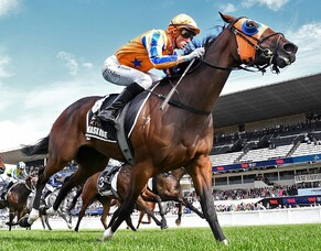 Damask Rose scoops biggest prize in New Zealand Racing