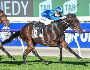 Oceanex sold for $1 million