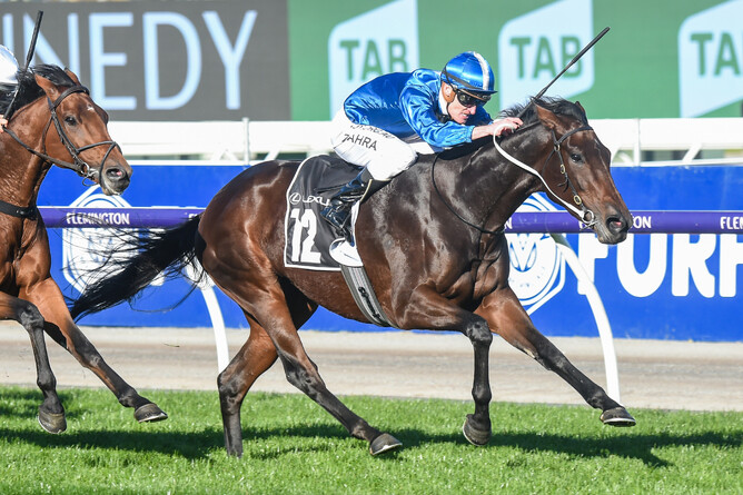 Oceanex winning the Listed The Andrew Ramsden (2800m) at Flemington in May. - Photo: Brett Holburt (Racing Photos)