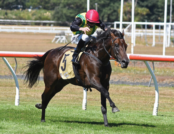 The Chosen One winning the Gr.1 Thornton Mile with jockey Matthew Cameron on board. -  Photo: Race Images PN