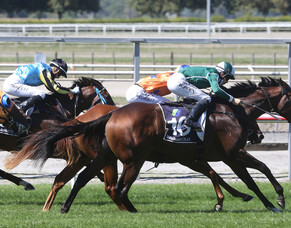 Ritchie Enraptured with promising filly