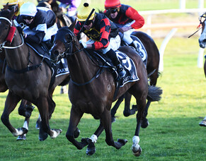 Te Akau Popthebubbles after Tauranga win