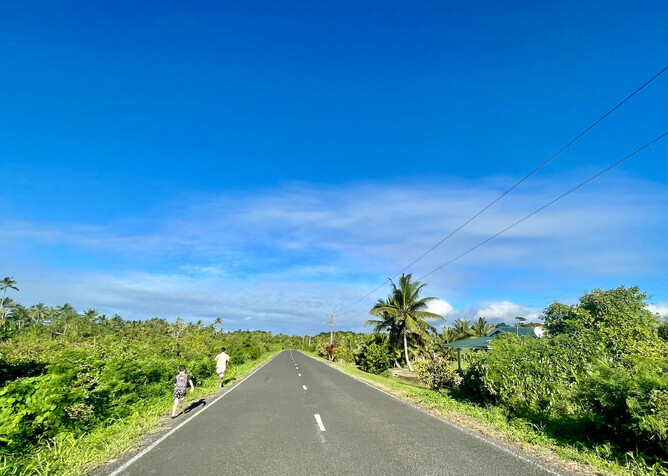 When being a passenger is too much for them... just set them free!