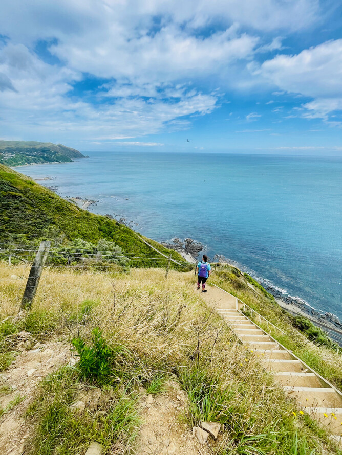 The Escarpment Track is well worth the effort.