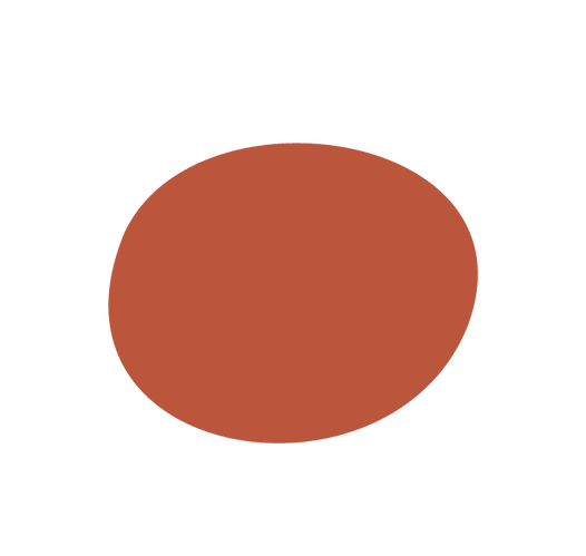 Kainga Aroha budgeting