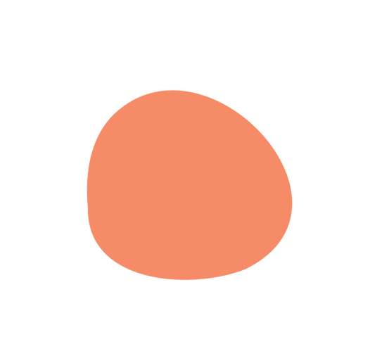 Kainga Aroha budgeting