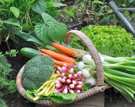Vegetables