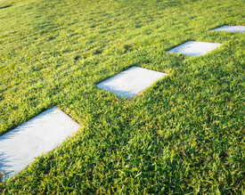 Grass
