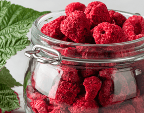 Behind the Scenes at 360 Foods