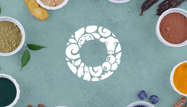 Your End-to-End Food Manufacturing Partner