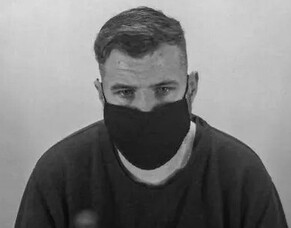 Serial online predator