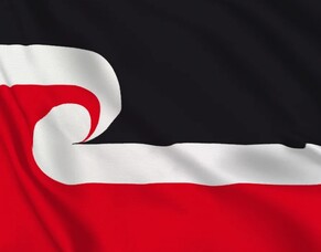 🔹 Iwi are stepping up&mdash;so why aren&rsquo;t other agencies? 🔹