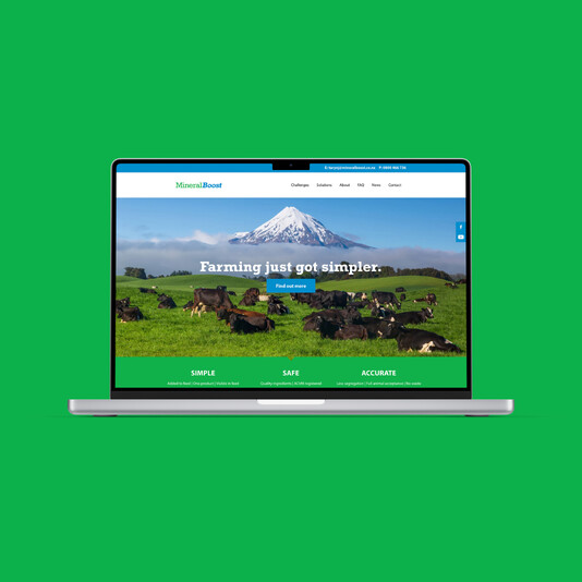 MineralBoost Website