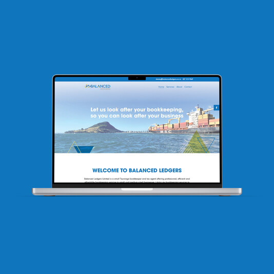 Balanced Ledgers Website