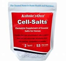 CELL SALTS®  - Electrolyte Concentrate specially coated to reduce gut reactivity and provide optimum palatability