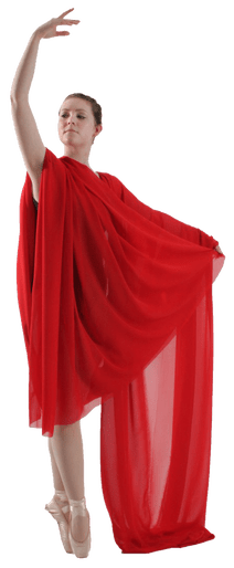 dance_classes_dunedin_ballet_dunedin_ballet_classes_dunedin_jazz_dance_dunedin_contact