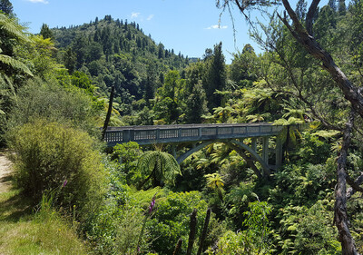 Matemateaonga Track Tramp