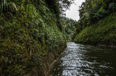 Traveller with Little Time Canoe Tour