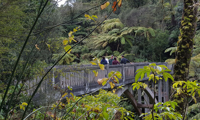 The Bridge to Nowhere Jet Boat Tour