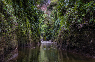 Traveller with Little Time Canoe Tour
