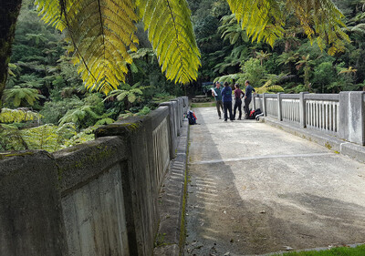 Matemateaonga Track Tramp