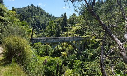 The Bridge to Nowhere Jet Boat Tour