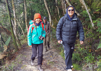 Matemateaonga Track Tramp