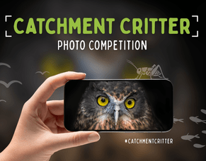 Catchment Critter Photo Competition