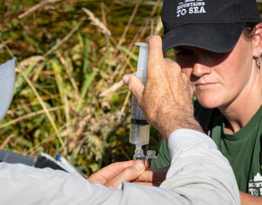 Community science tools