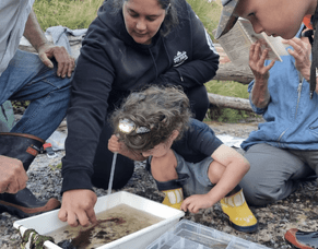 Whangaehu Bideford Catchment Community Group are shining a light on conservation