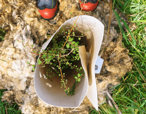 Get your hands dirty at these planting days!