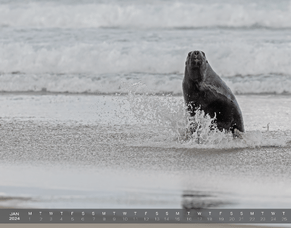 2024 Desktop Wallpapers