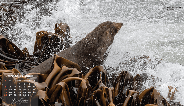 2025 Desktop Wallpapers