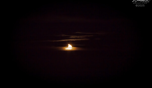 Partial Solar Eclipse