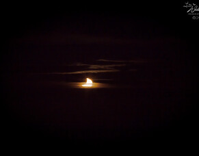 Partial Solar Eclipse