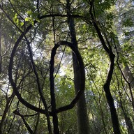 RESTORATION & REVEGETATION - A lot of work and careful planning goes into growing our locally sourced plants. We try to grow to best possible quality at the best price. 
