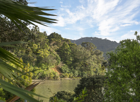 BOOK A FREE APPRAISAL