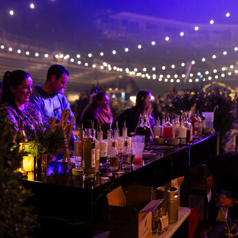 Christchurch Festival Curiosity Gin Cocktails