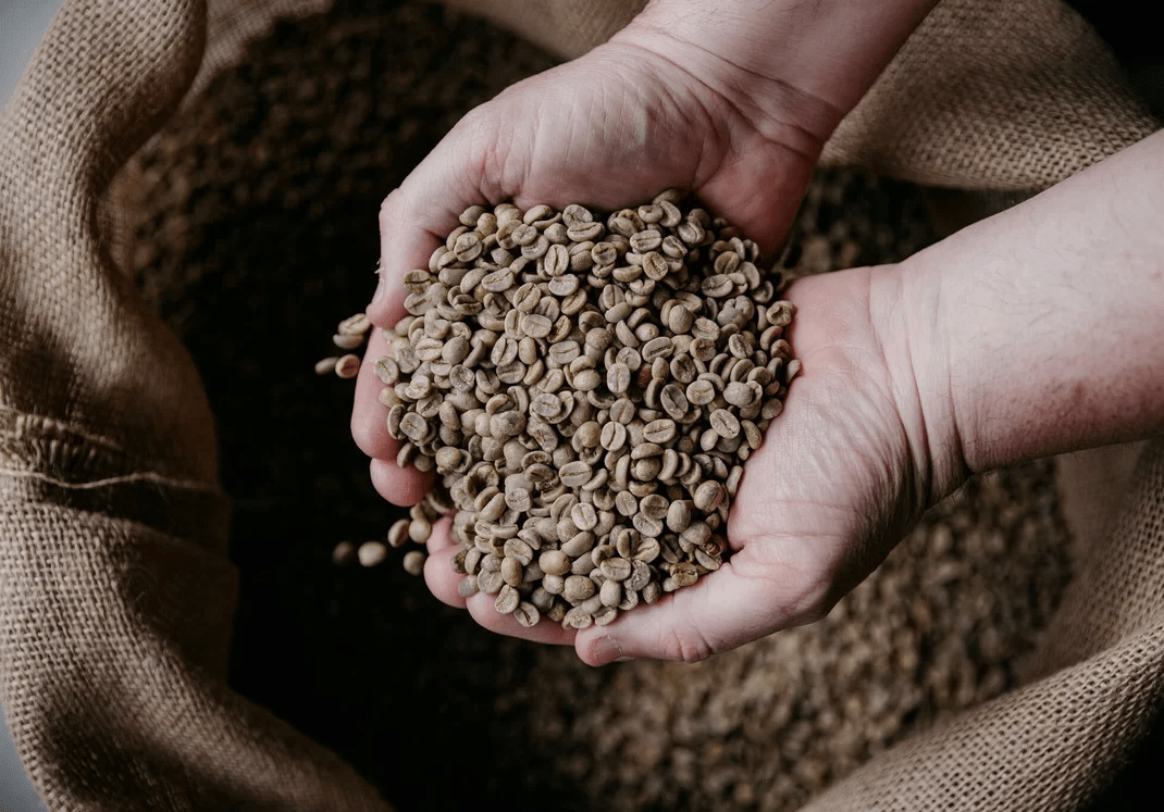 Blended Coffee Beans NZ Sacred Grounds