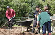 Vocational Programme