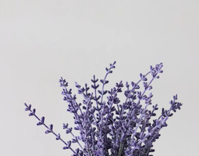 8 Health Benefits Of Lavender Essential Oil &amp; How To Use It