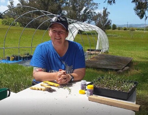 Propagating Lavender