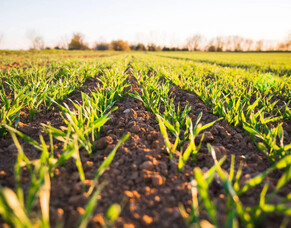 What is Regenerative Farming?