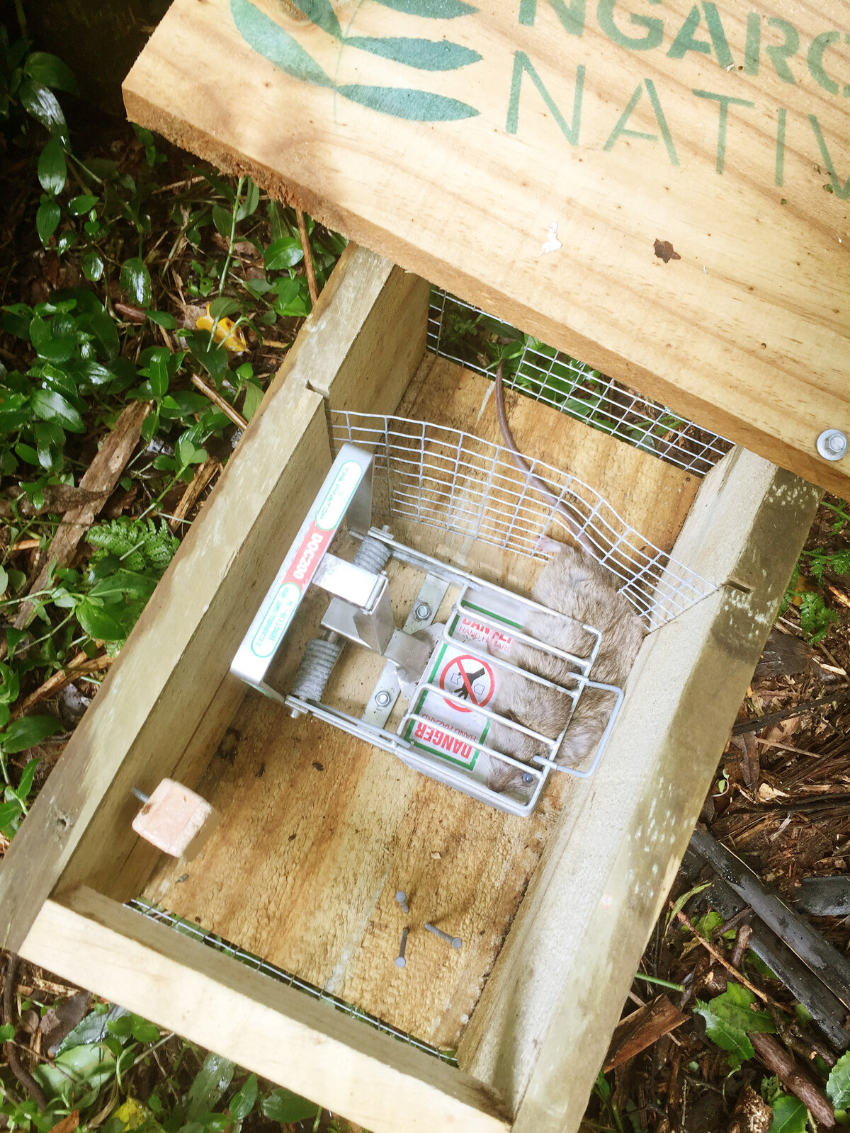 Pest Control Ngaroma Natives I Waikato & King Country