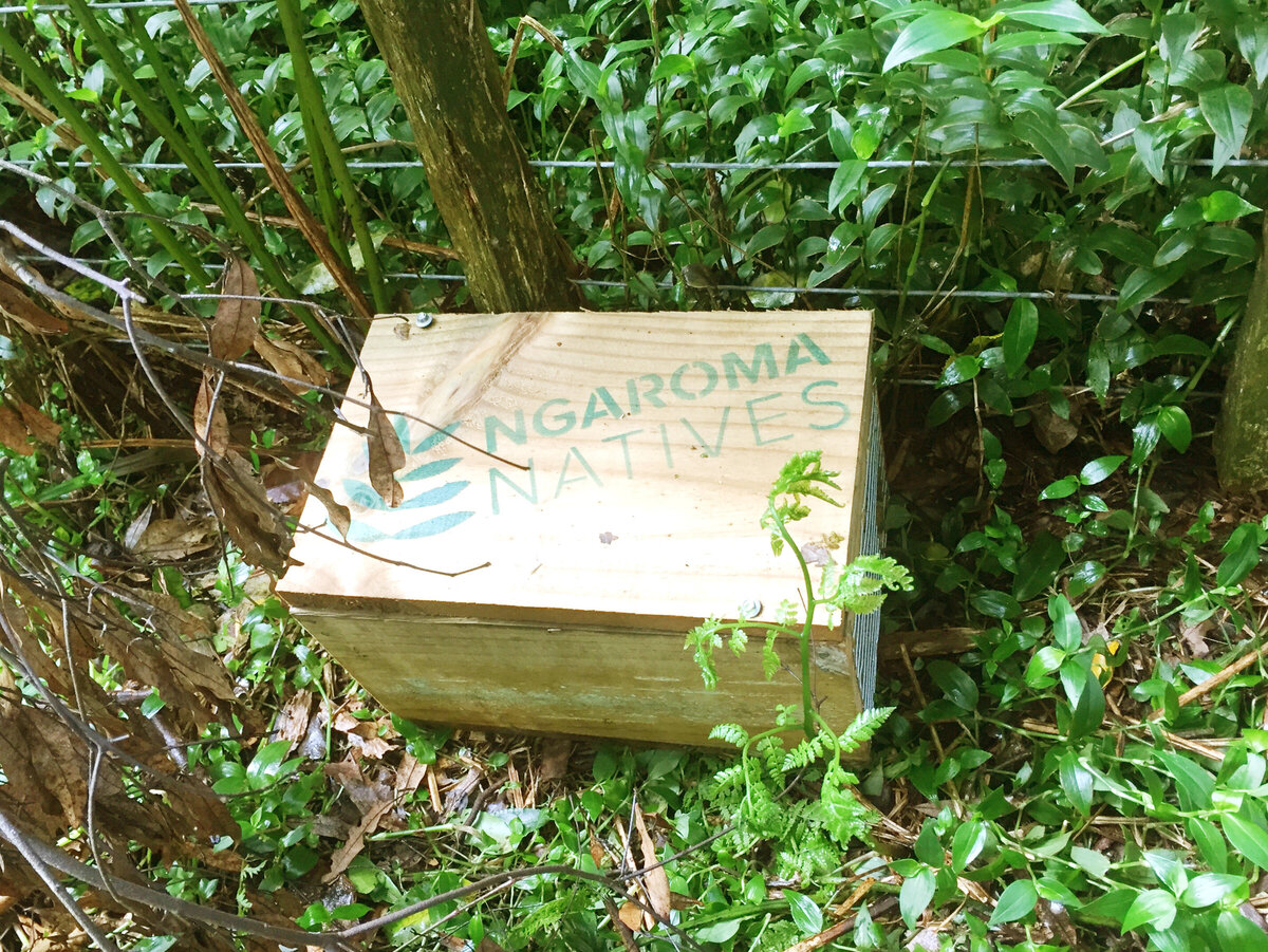 Pest Control Ngaroma Natives I Waikato & King Country