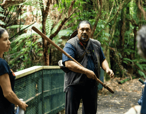 Discover Sanctuary Mountain Maungatautari