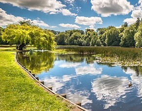Digital Nomads in Cambridge, New Zealand
