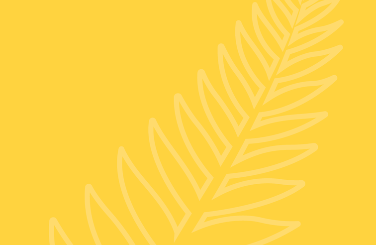 Button for NZSHS Aotearoa Statement