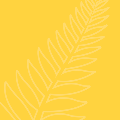 Button for NZSHS Aotearoa Statement