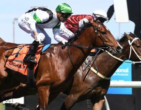 Cannon Hill takes the honours in dramatic Hastings opener